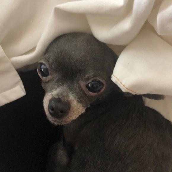 Meet your Posher, Alyce - Picture 1 of 1